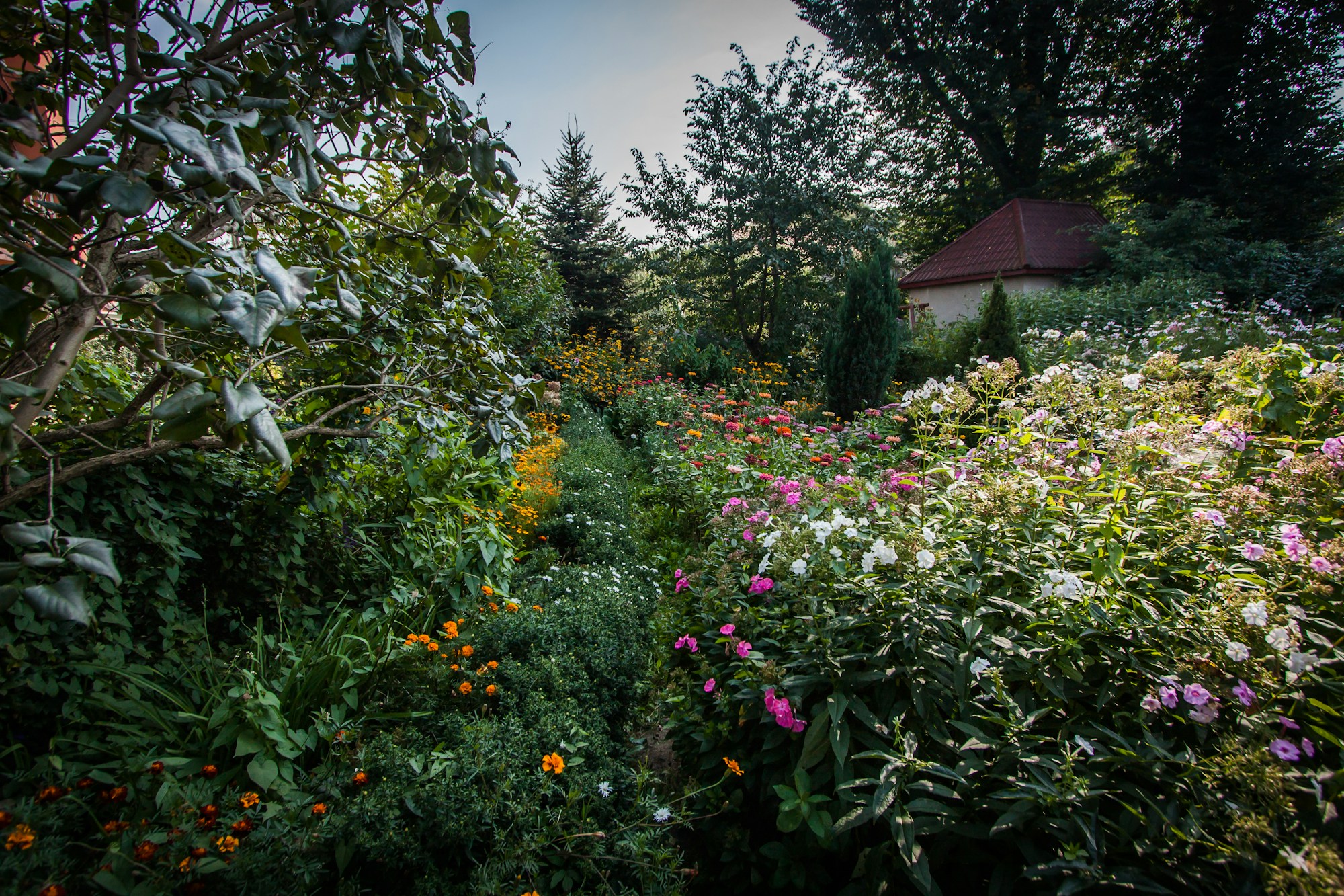 A naturalistic garden filled with layered flowering plants
